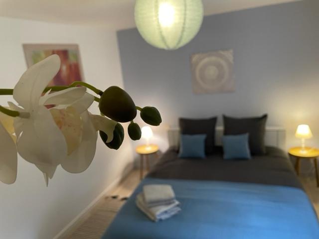 Appartement Cosy Hyper Centre Chateauroux Bagian luar foto
